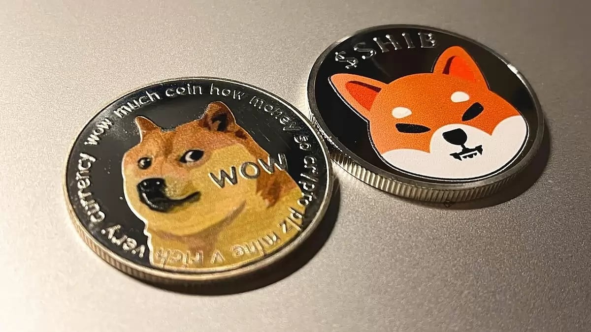 Shiba Inu