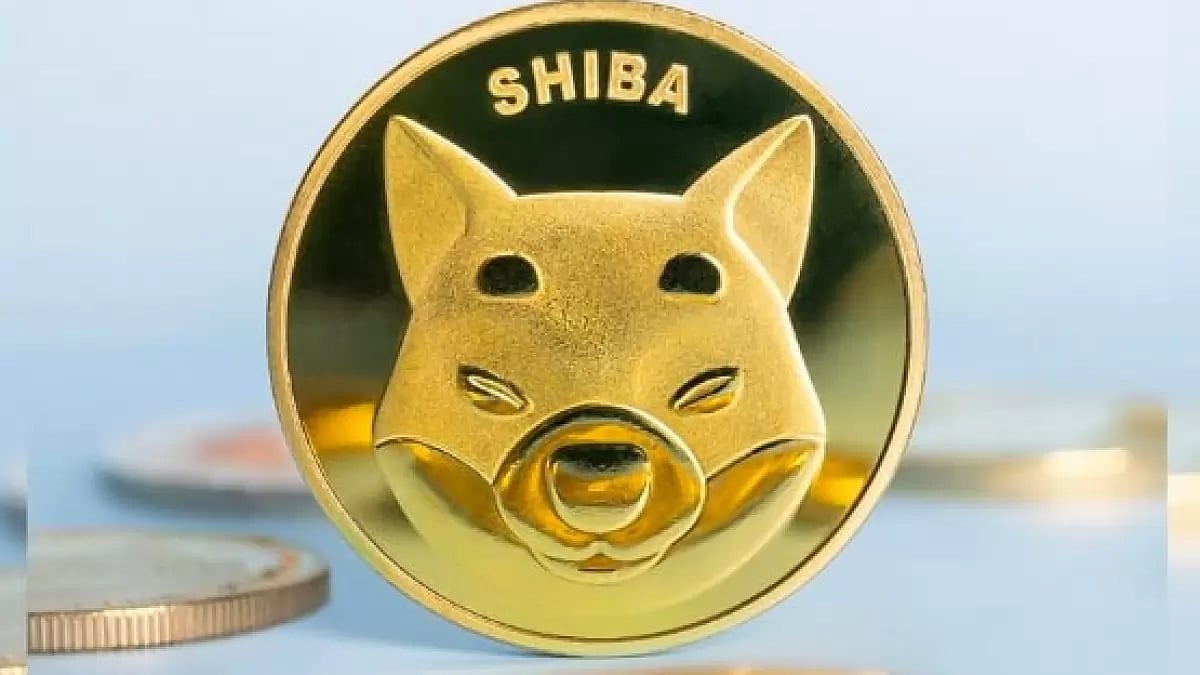 Shiba Inu