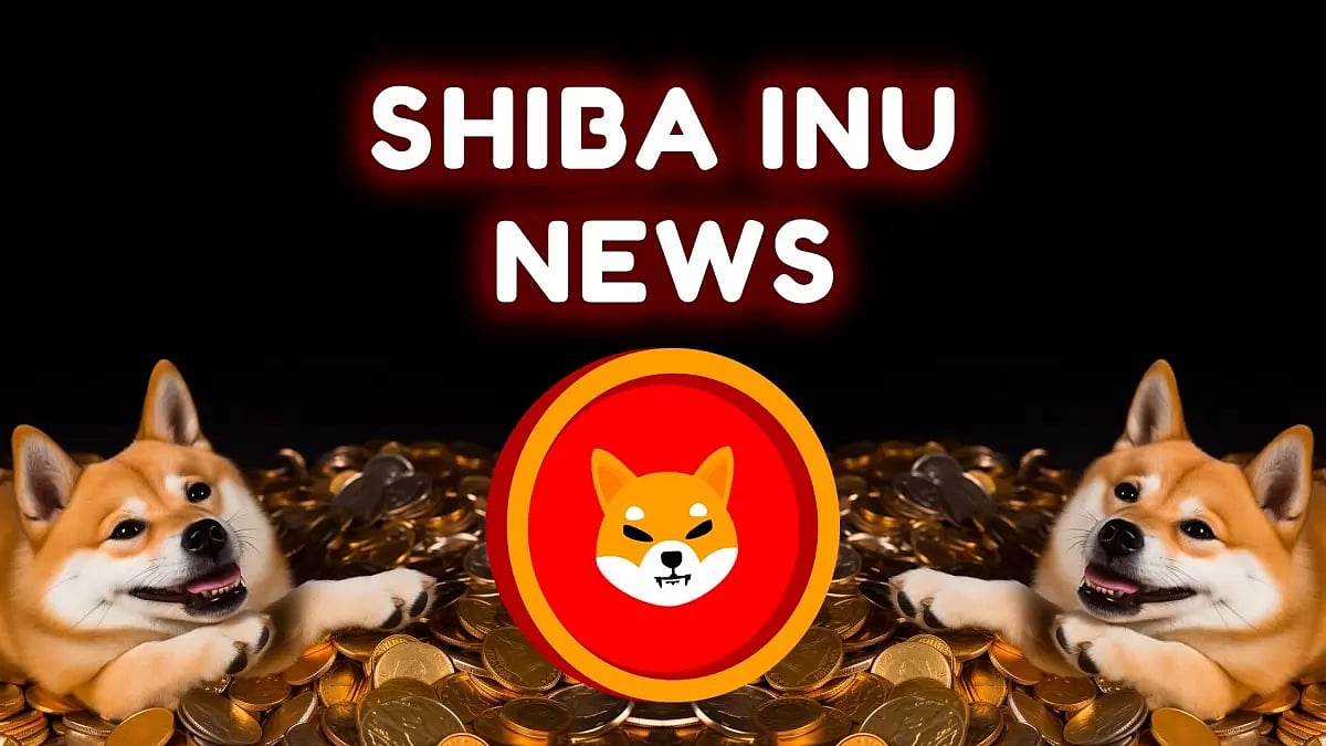 Shiba Inu