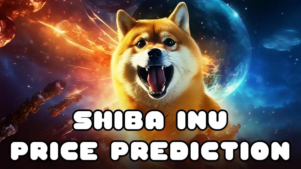 Shiba Inu