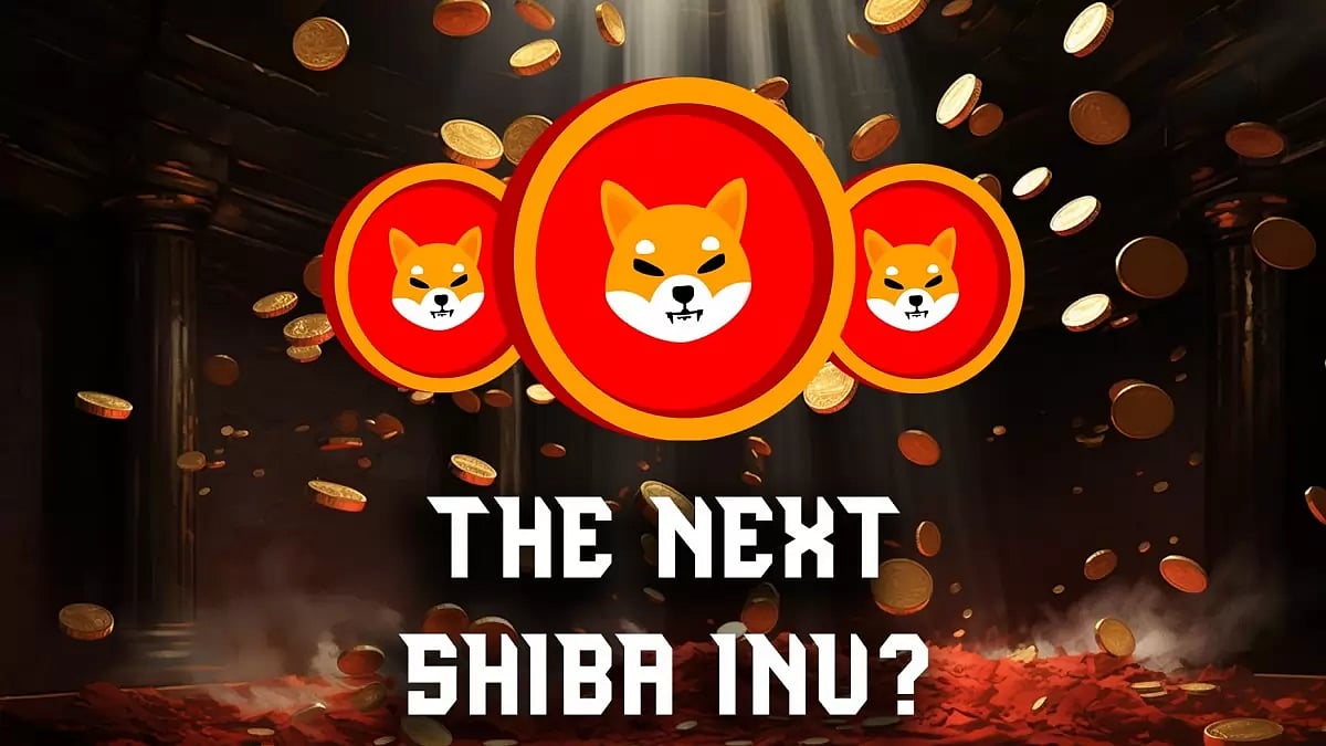 Shiba Inu