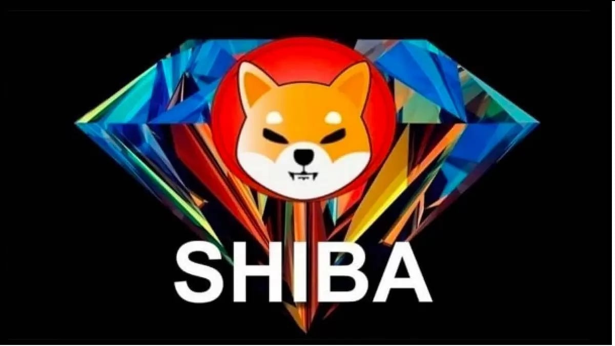 Shiba Inu 