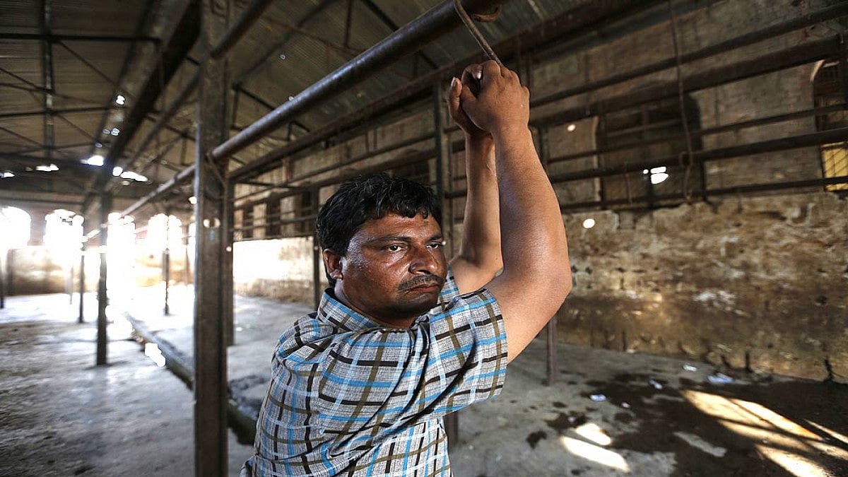 Ghazipur Slaughterhouse Reopens After DPCC Nod