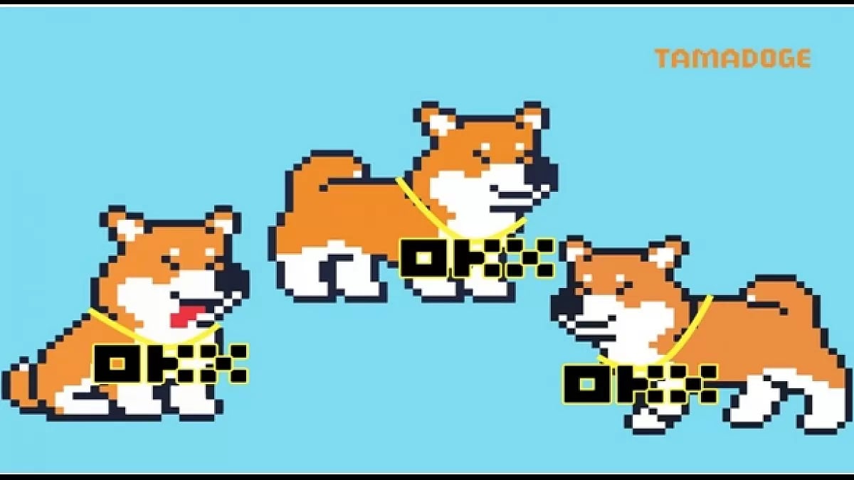 TamaDoge