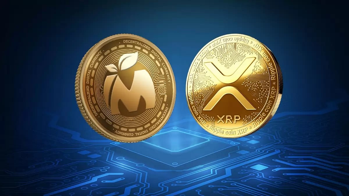 XRP 
