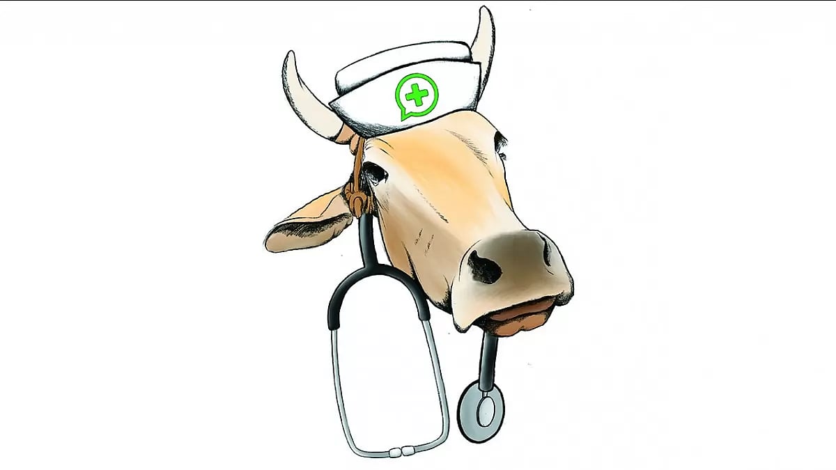 The Age Of WhatsApp University And A Political Animal Called Cow