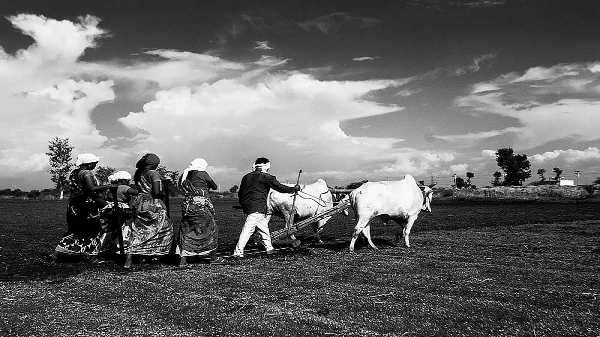 Independence Didn’t Free India Farmers From Cycle Of Debt And Deaths