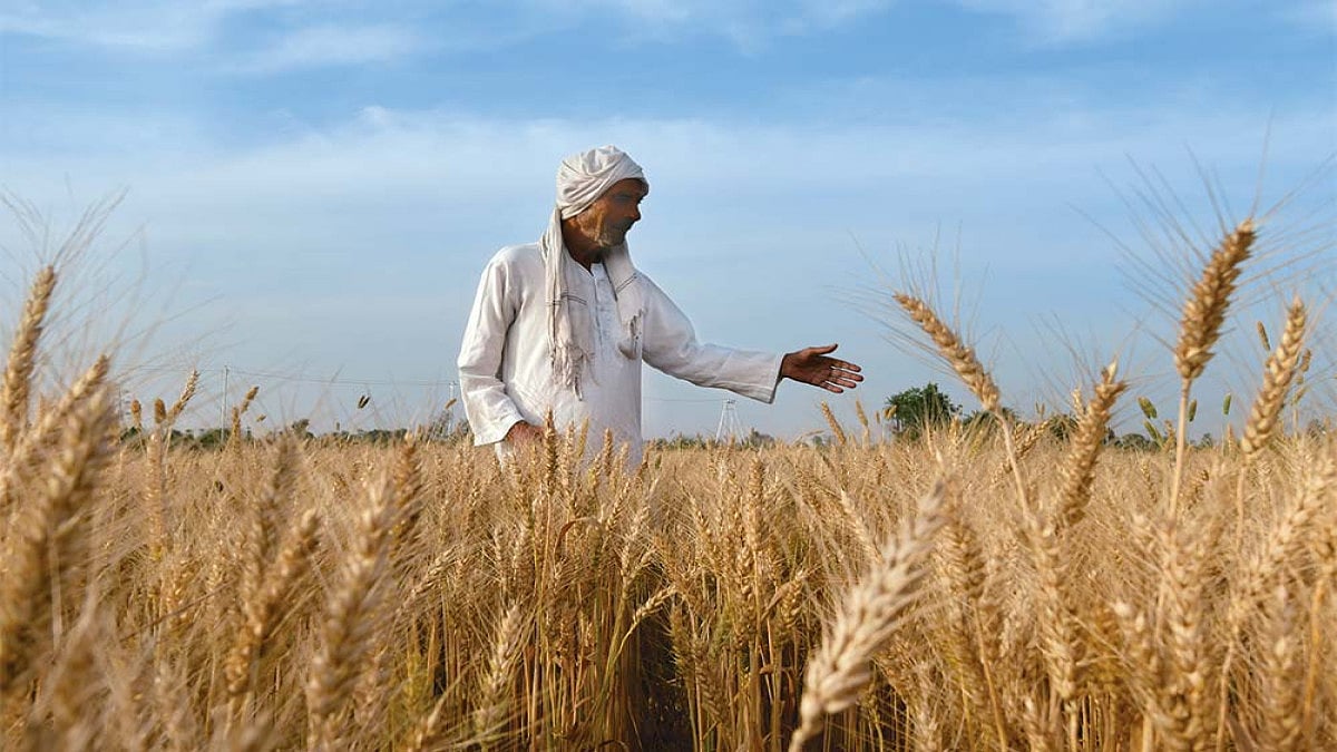 Green to Evergreen Revolution The Battleground Of Agriculture