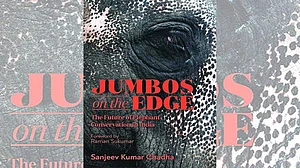 An Elephantine Problem Laid Out In Stark Reality