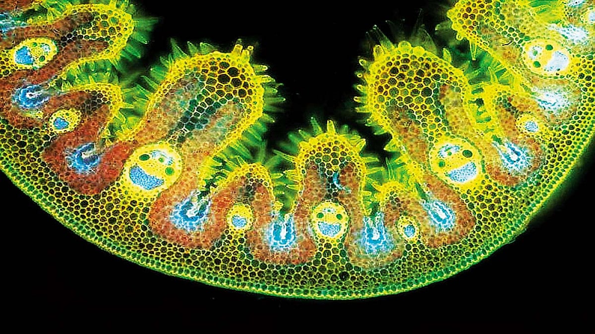 Keep Off The Grass: Don’t Kill Our Grasslands