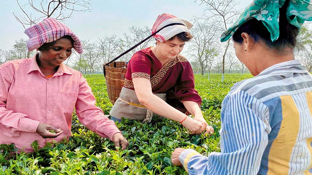 A Big If In Its Ifs And Buts Tides