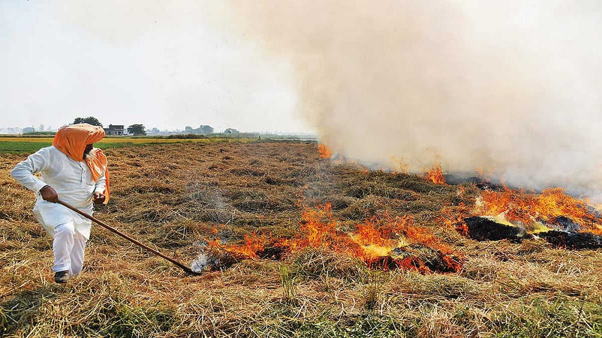 Farming Takes Body Blow From Climate Change