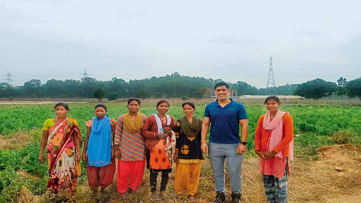 Captain Pumpkin And His Papayas