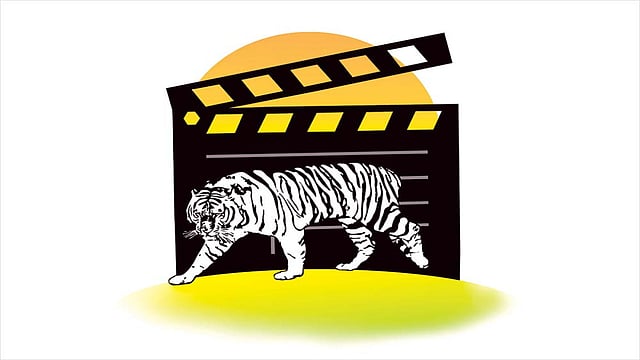 White Tiger Diary