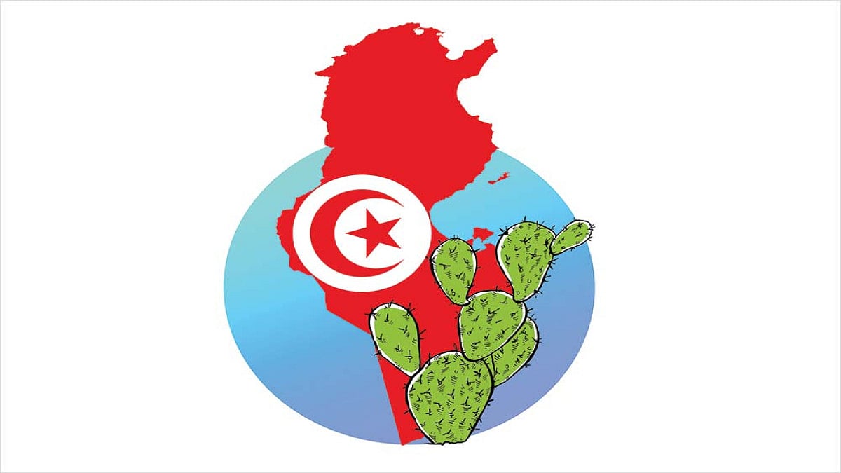 Tunisia Diary: Did Hannibal Eat Hindi And Wear a Sari?