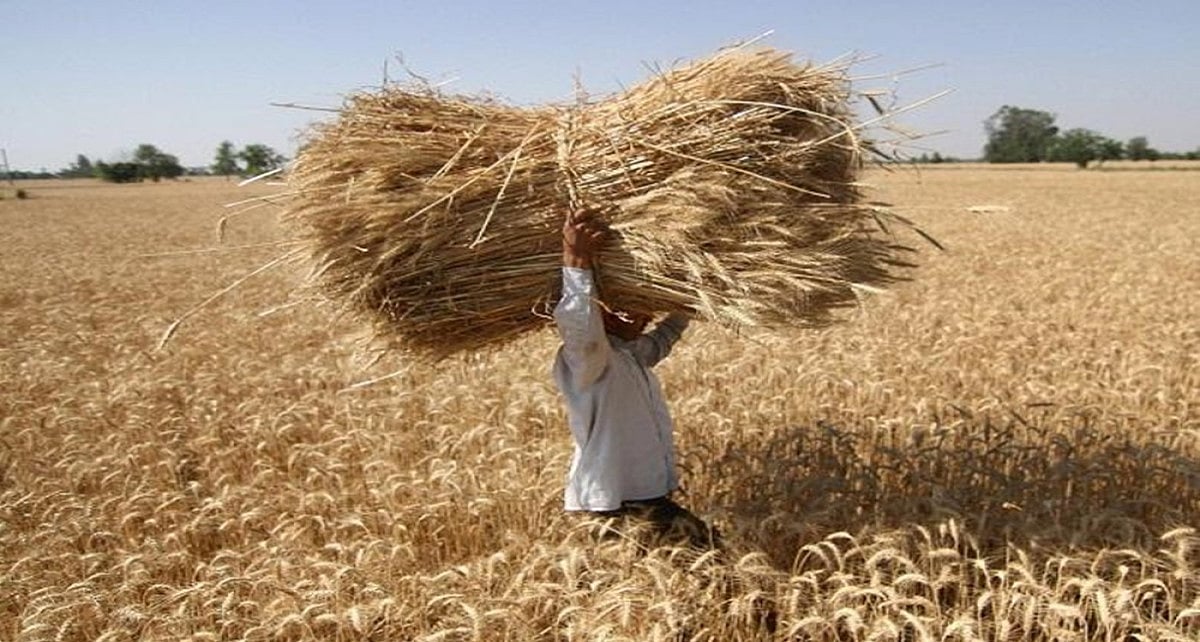 Centre Approves MSP For 14 Crops 