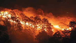 Wildfires Keep Pockets Warm