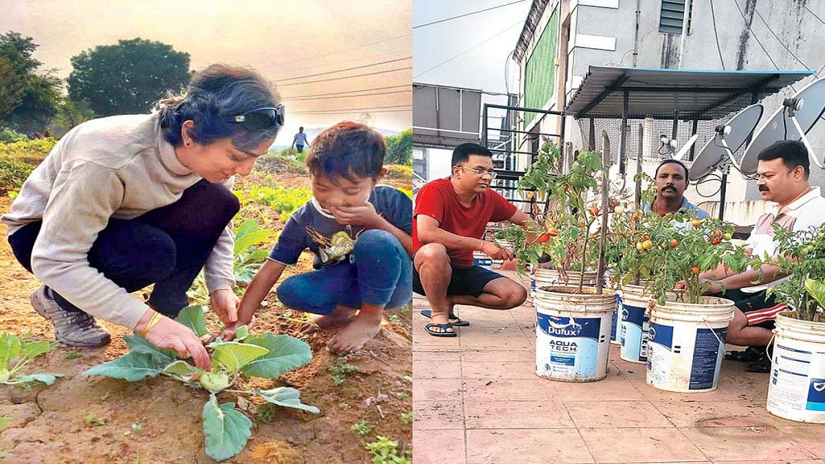Our Big-Little Kitchen Garden