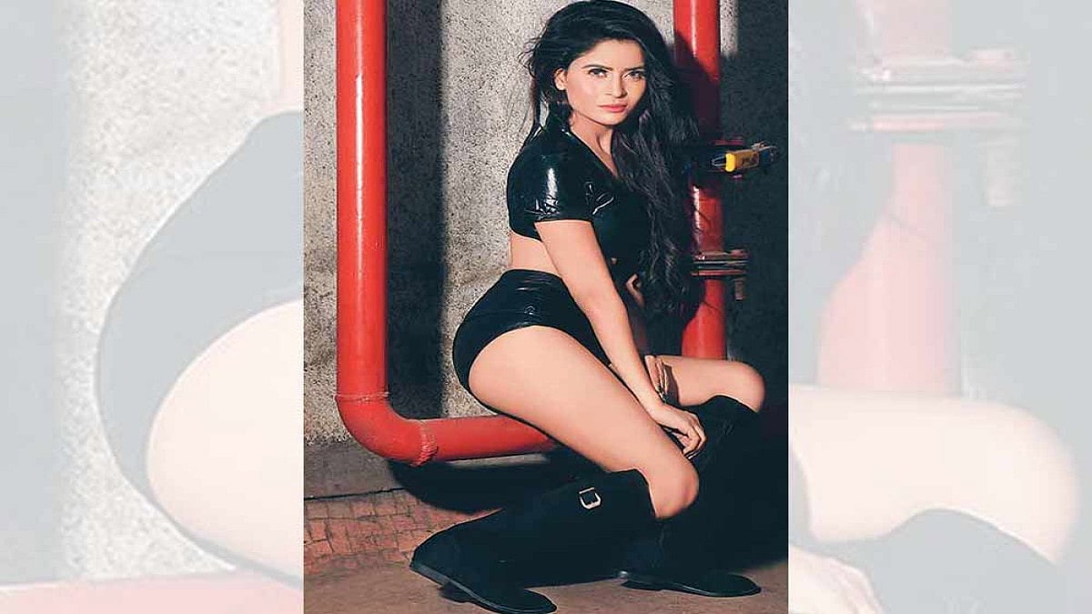 There Are Over 2,000 Porn Sites On Google, Why No Action Against Them, Asks Gehana Vasisth