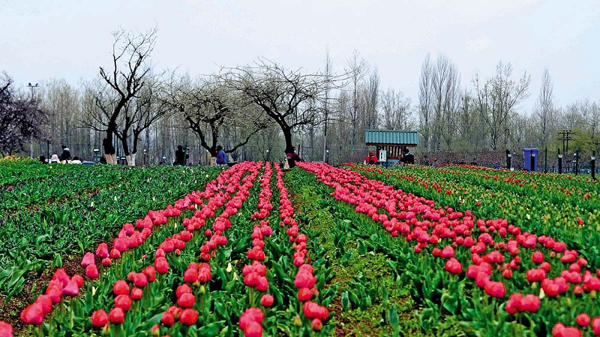 Footfalls Of Integration