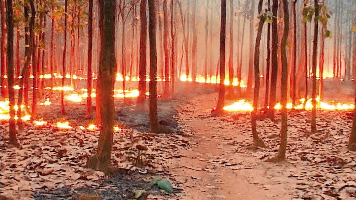 Flames Between Two Fires