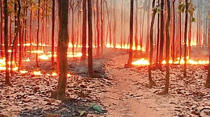 Flames Between Two Fires