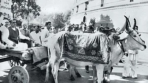 Touch A Painfuel Point