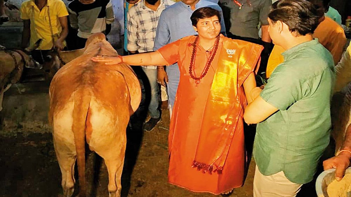 The Peeculiar Corona Ark