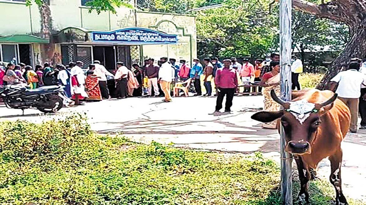 As Awkward As A Cow On A Crutch