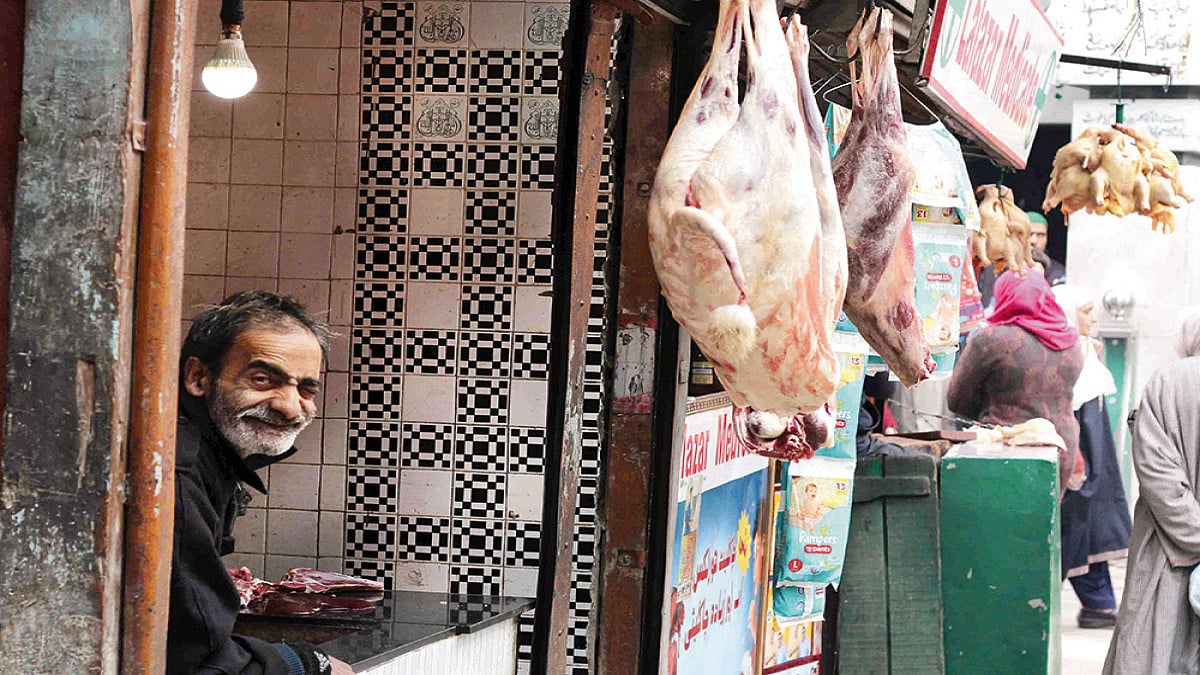 Meatless In The Valley