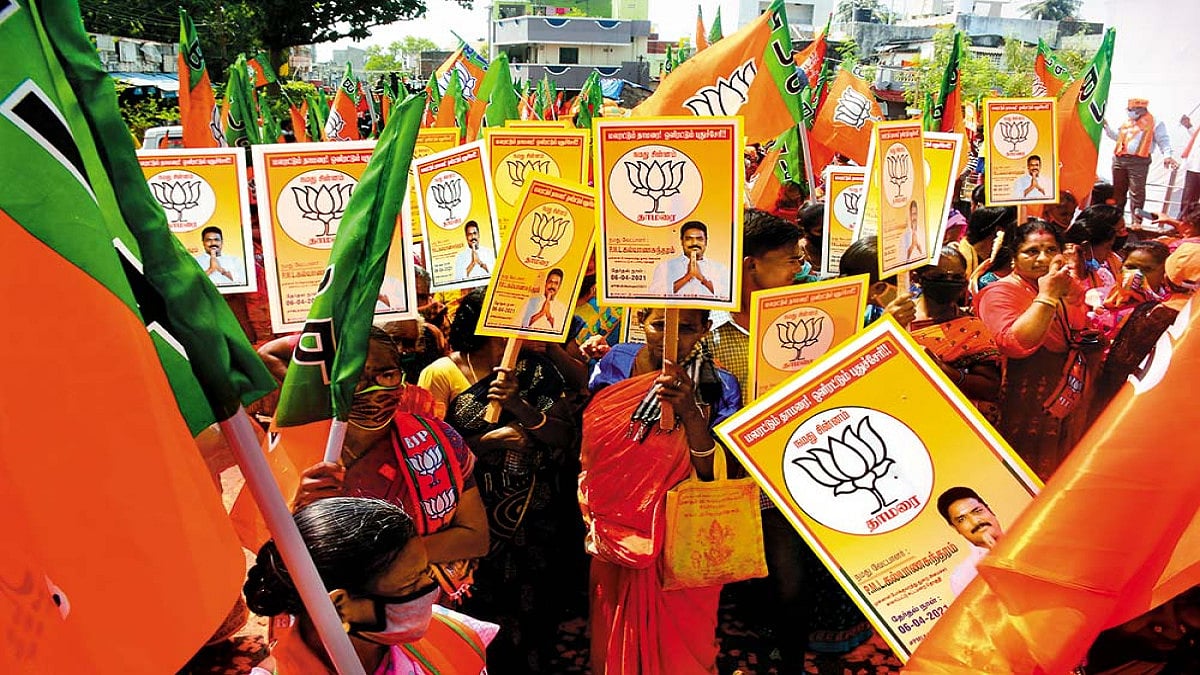 First Bloom Of Lotus