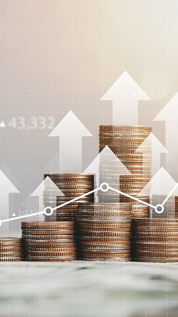 Investment Portfolio