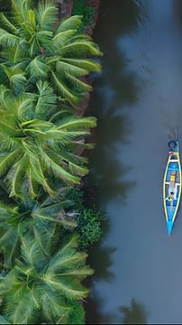 Exploring Kochi: A Guide For Senior Travellers