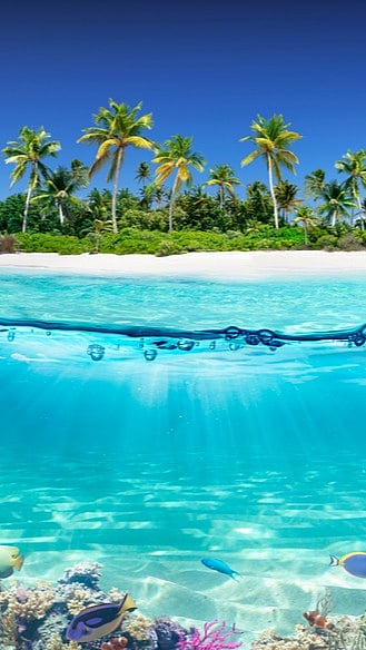 Top 10 Tips For Safe Travelling For Senior Citizens