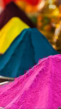 Places For Seniors To Visit This Holi