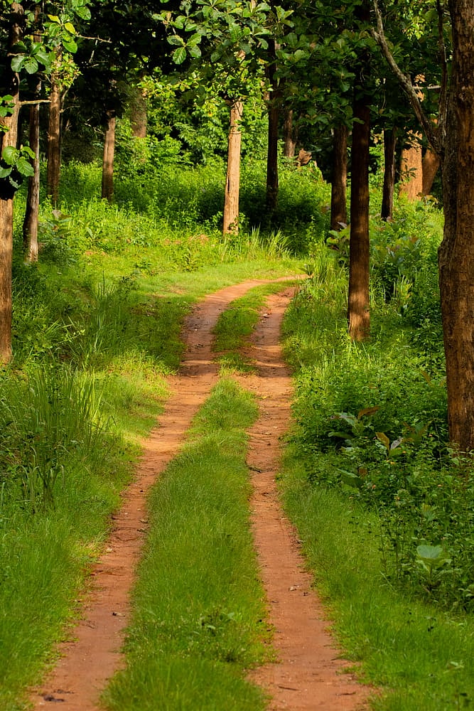 Exploring Karnataka As An Elderly Traveller