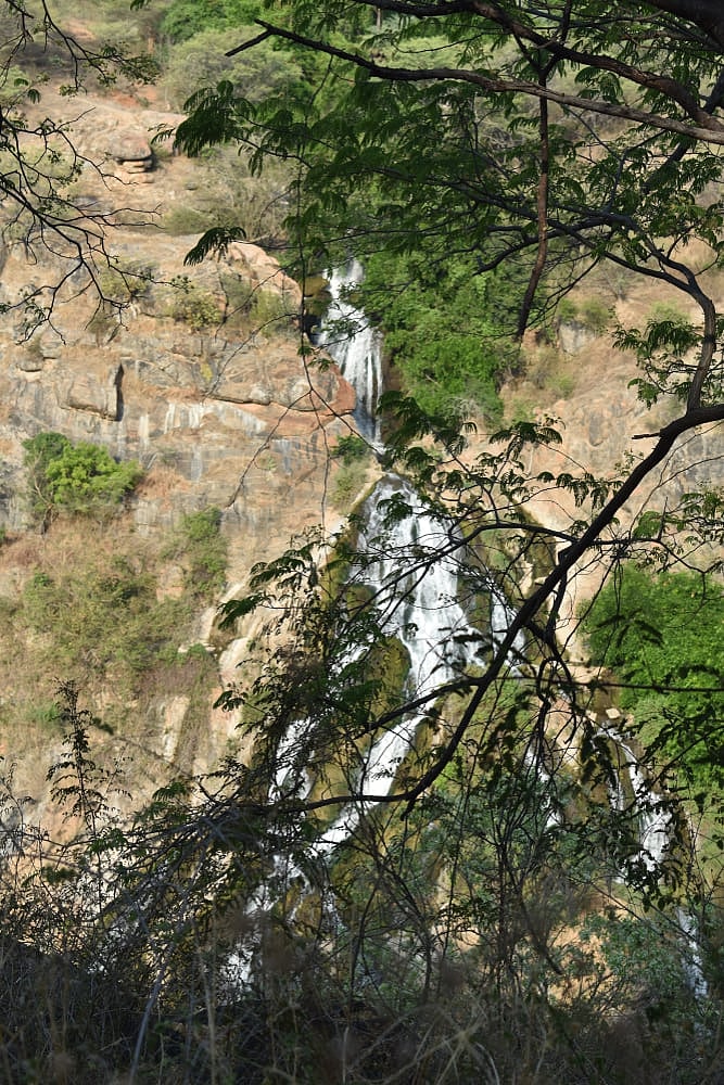 5 Monsoon Destinations In South India Perfect For Elderly Travellers