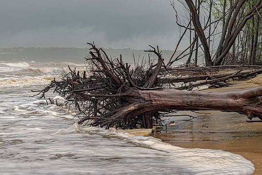 Cyclone Remal: Irdai Advises Insurers To Settle Claims On Fast Track Basis