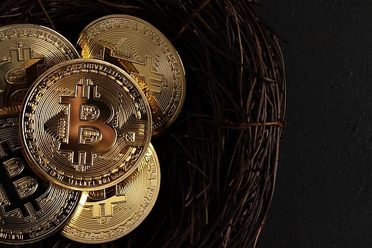 Bitcoin Falls from Peak, Trades Near $117,000; Ethereum Below $3,000
