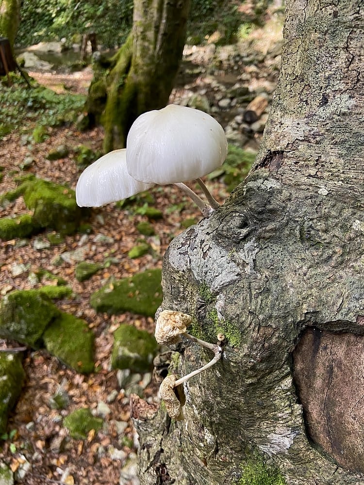 5 Lessons To Learn From Kohli, Sharma & Jadejas Retirement