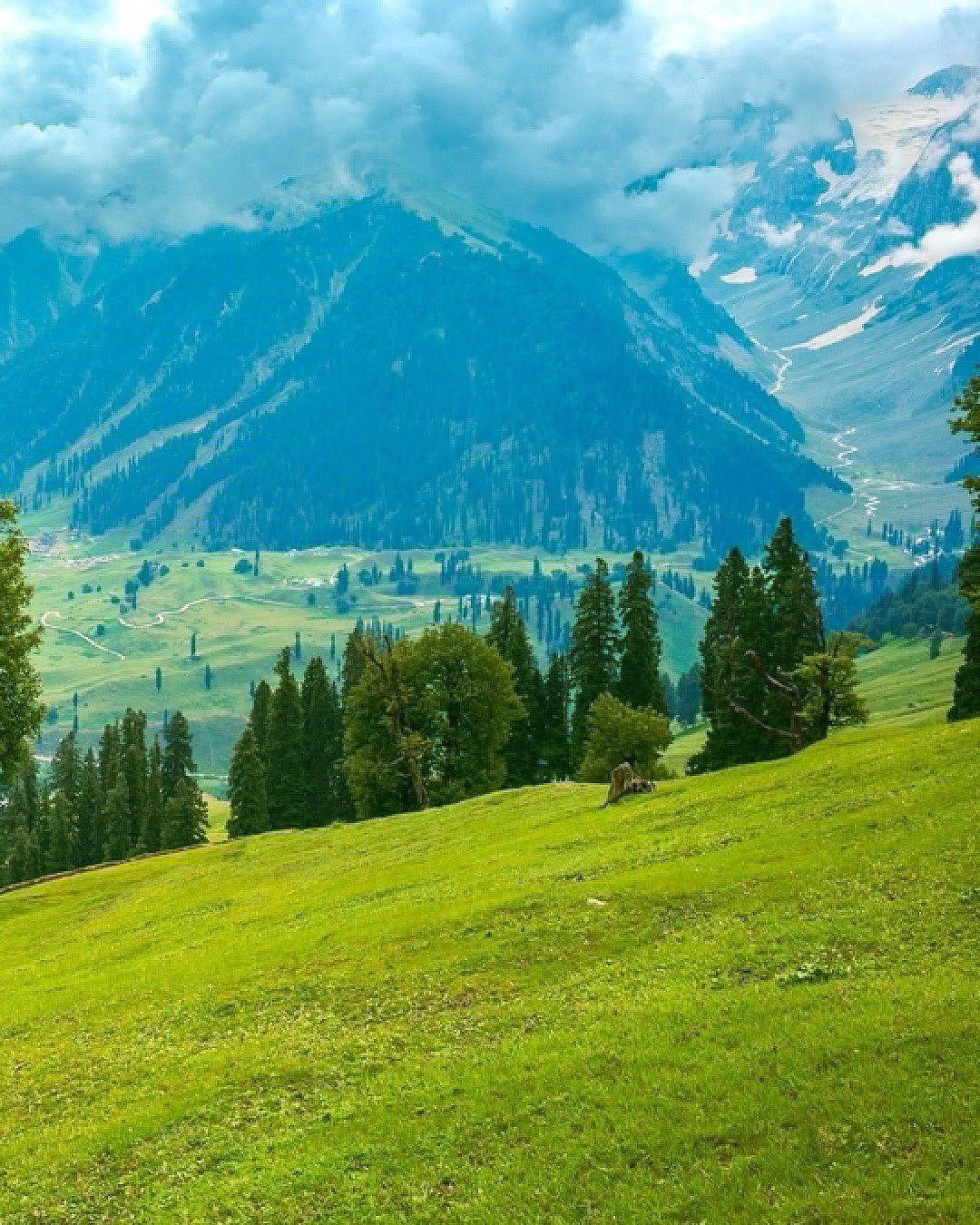 Scenic Train Routes in India