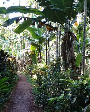 Top Places To Visit In Goa For Travellers In March