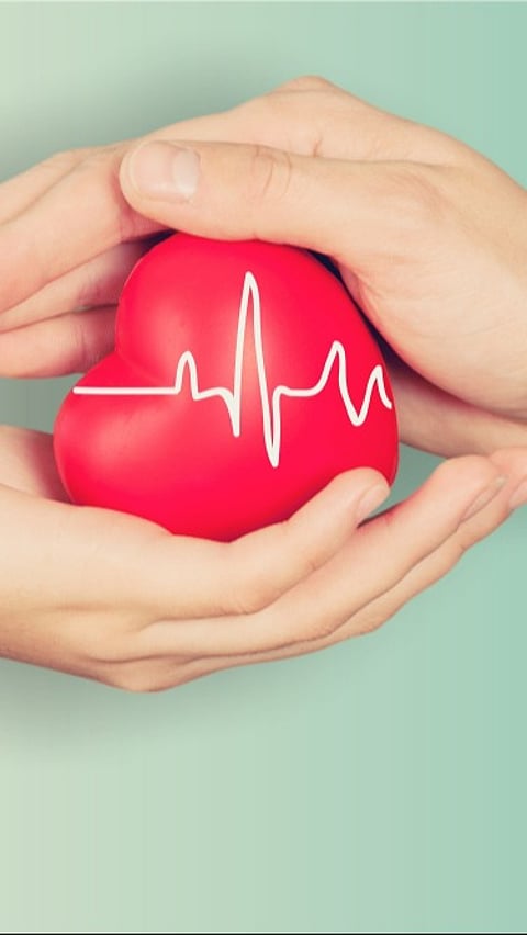 Balanced Fitness & Financial Guide for Seniors: Stay Healthy & Secure After 60