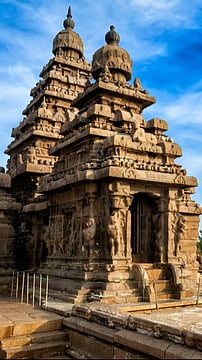 Must-Visit Places In Pollachi For Senior Travellers
 