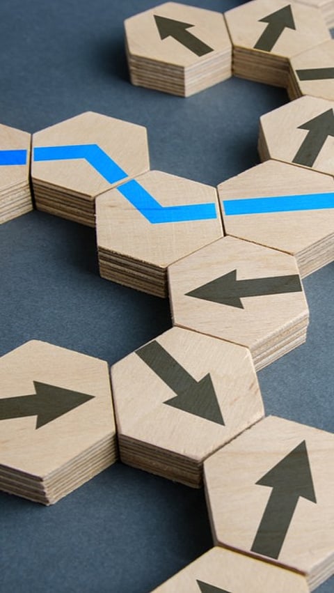 Socialisation and connection