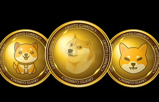 India May Change Crypto Policy Due To International Adoption: Report