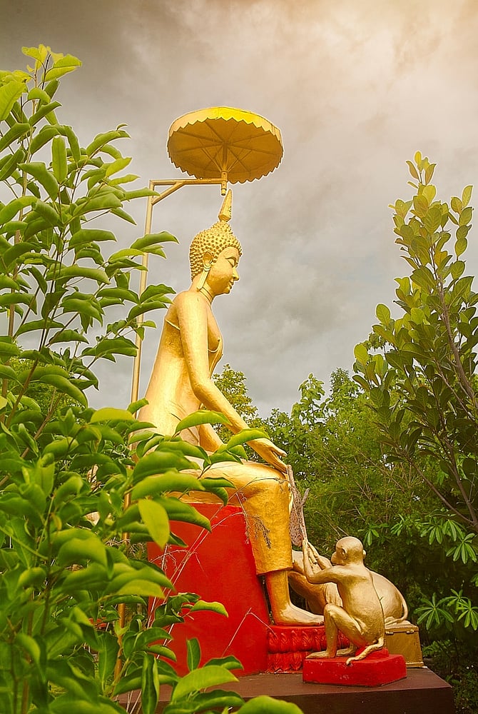 7 Nature Activities For Elderly Travellers In Thailand