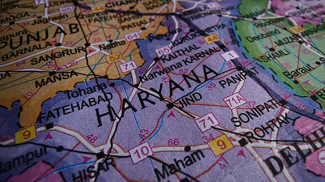 Haryana Lacks Dedicated Implementation Agency For Elderly Helpline; HC Demands Timeline From State Govt