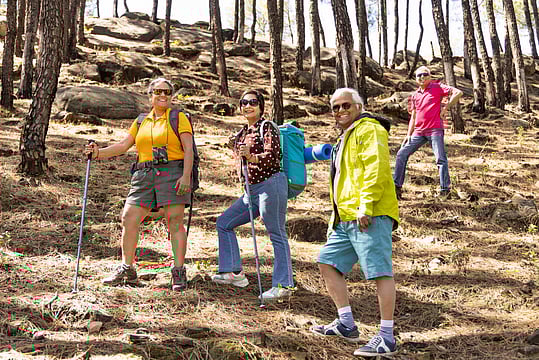 Group Tours For Senior Citizens: The Benefits Of Traveling In Community 