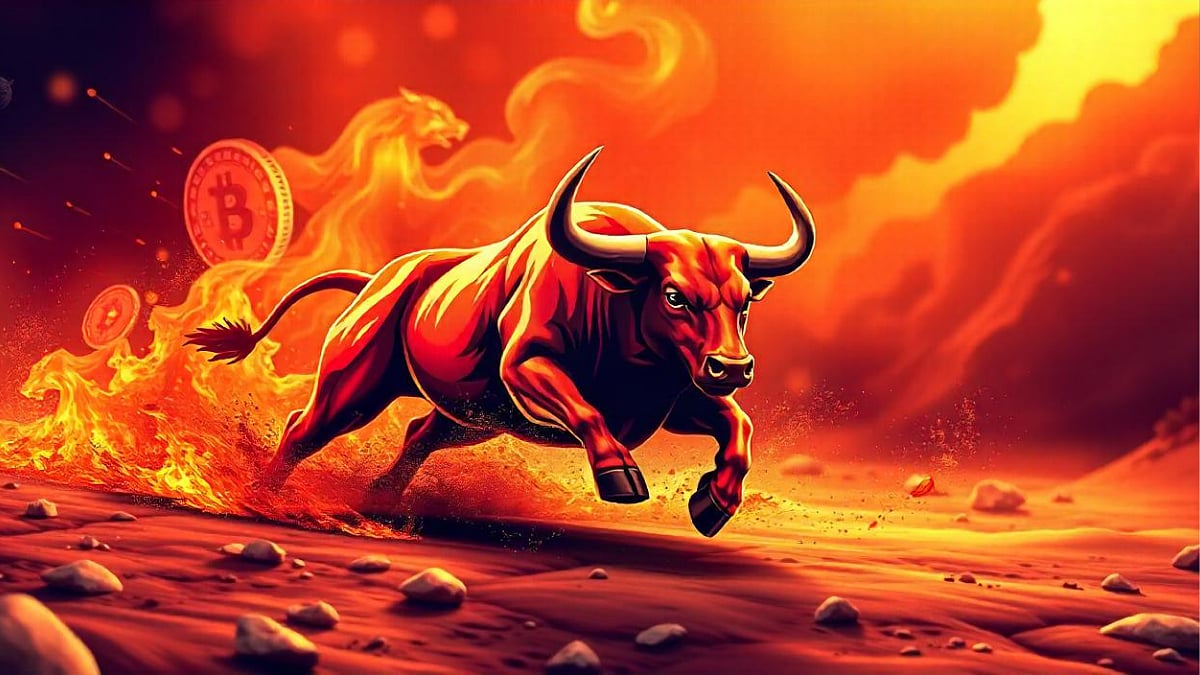 Next Crypto Bull Run